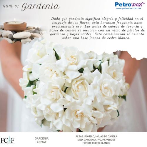 vela fragancia gardenia