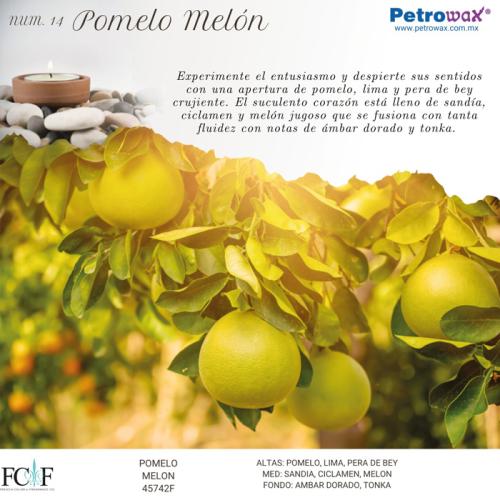 vela fragancia pomelo